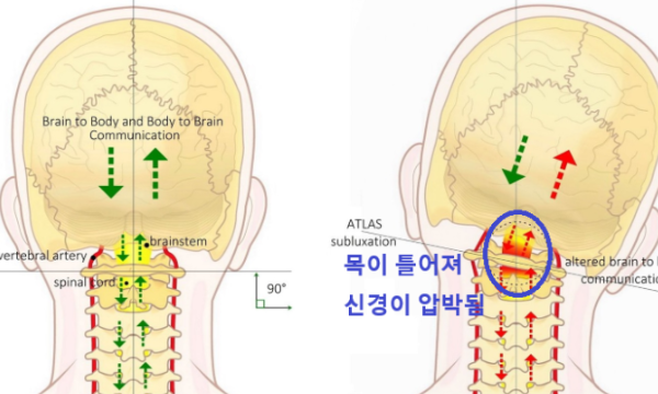 image - 더드림한의원 화명 image